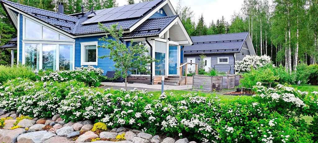 A-kohde, pensasaita kesällä A-kohde, pensasaita kesällä